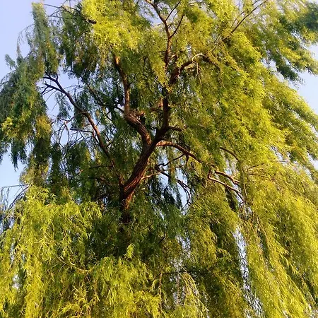 Daire River House Buna Mostar