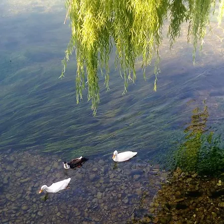 Appartement River House Buna *