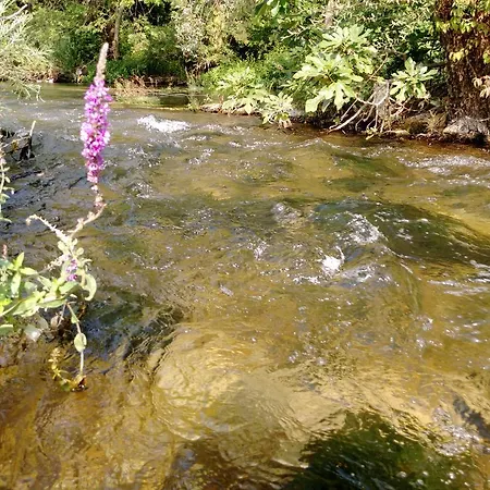 River House Buna Apartment