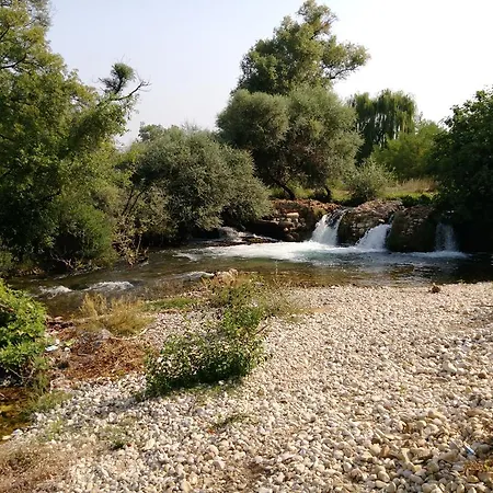 River House Buna