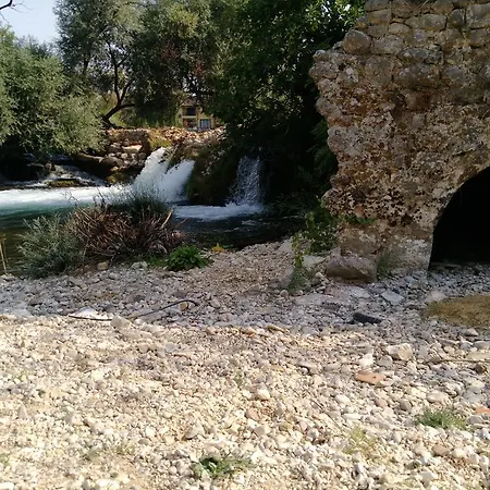 River House Buna Daire *