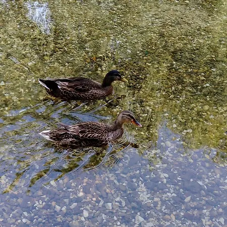 River House Buna Appartement Mostar